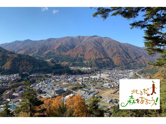 春の息吹を感じながら江馬氏の山城跡を探訪
